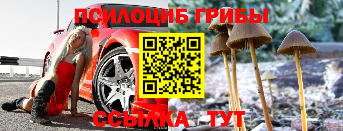 Псилоцибиновые грибы Cubensis  Вход с VPN  Псилоцибиновые грибы MAGIC MUSHROOMS  Орёл 