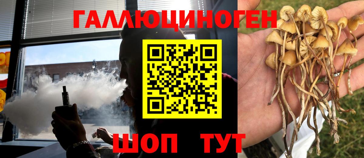 Галлюциногенные грибы мухоморы Орёл